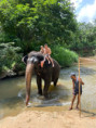 /album/fotogaleria-sri-lanka-maldivy-zajezd-vy-a-my/sri-lanka-maldivy-zajazd-37-jpg1/